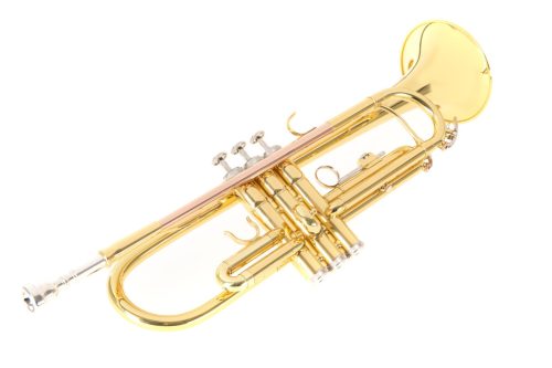 Roy Benson TR-101 Bb Trompete