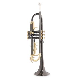 Roy Benson TR-101K Bb Trompete, schwarz