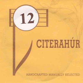 Arató zither string 12 - 0.31 mm