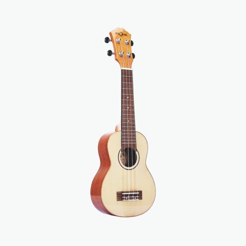GMC-EGS111 Electric Guitar Transparent Red