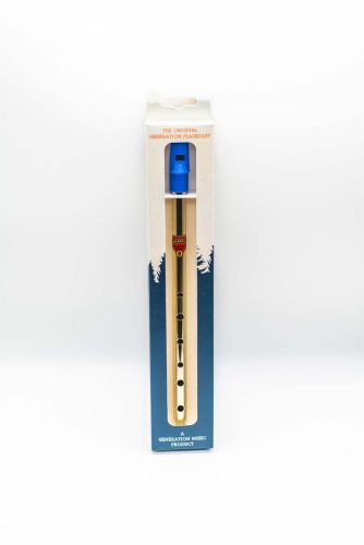 Flageolet - DNF-S Irish Flute D (Nickel) With Box