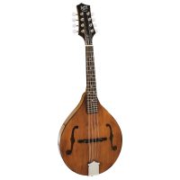 Mandolin/ Banjo string